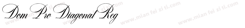 Dom Pro Diagonal Reg字体转换
